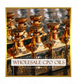 Wholesale Modern Girl CPO - Arabian Luxuries